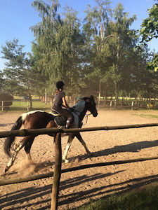 Meet your Posher, Julia